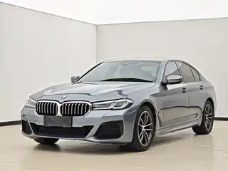 BMW 5 Series (Import) 2021