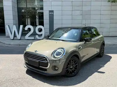 MINI MINI 2020