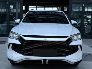 BYD Song Pro New Energy 2024