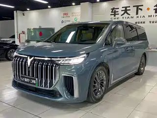 Voyah Auto Voyah Dreamer 2022