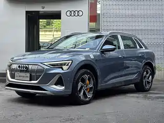 Audi Audi e-tron 2021