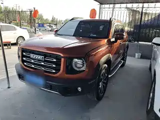 Haval Big Dog 2020