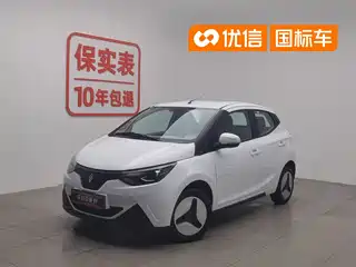 JMCG New Energy Little Kirin 2024