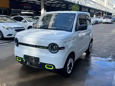 Geely Galaxy Panda 2025