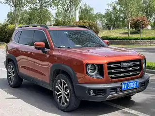Haval Big Dog 2020