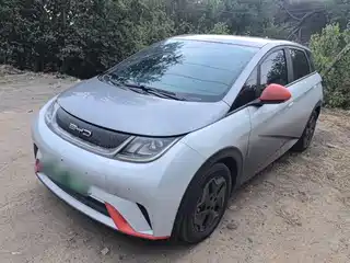 BYD Dolphin 2021