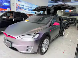 Tesla Model X 2019