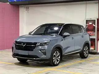 Wuling Motors Xingchen 2021