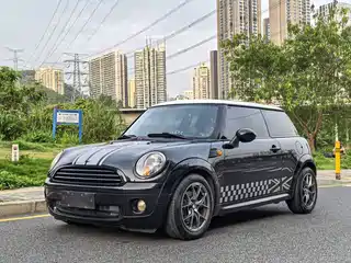 MINI MINI 2010