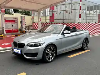 BMW 2 Series (Import) 2019