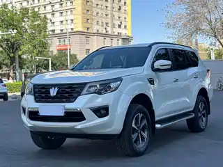 Dongfeng Fengdu Paladin 2024