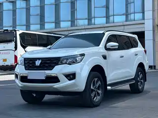 Dongfeng Fengdu Paladin 2024