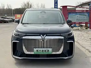 Voyah Auto Dreamer 2024