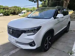 Dongfeng Fengxing Fengxing T5 2019