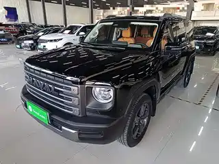 Haval Meng Long NEV 2023