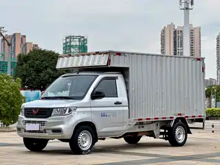 Wuling Motors Rongguang New Truck 2021