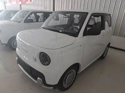 Ruilan Auto Blue Elf 2026