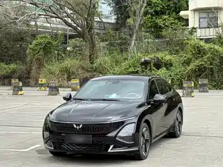 Wuling Motors Wuling Xingguang 2025