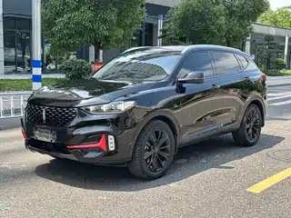 WEY VV6 2021