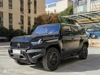 Mengshi 917 2023