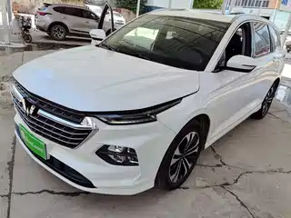 Wuling Motors Wuling Victory 2020