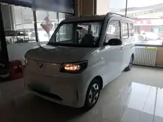 Wuling Motors Zhiguang NEV 2026