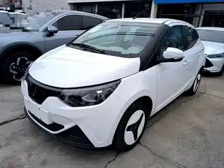 JMCG New Energy Little Kirin 2025