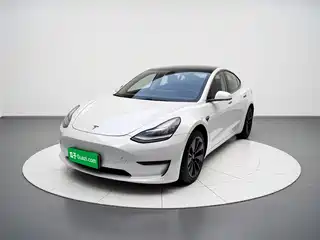 Tesla Model 3 (Import) 2019