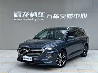 Wuling Motors Wuling Victory 2022