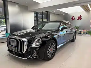 Hongqi Guoya 2024