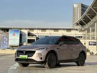 Voyah Auto Voyah Zhiyin 2024