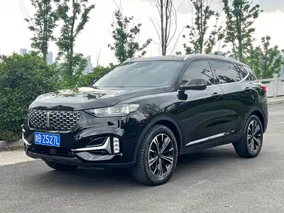 WEY VV6 2021