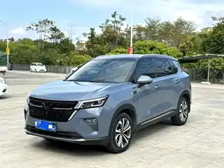 Wuling Motors Wuling Xingchen 2021