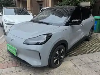 Wuling Motors Wuling Binguo PLUS 2024
