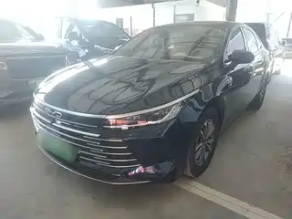 BYD Destroyer 05 2024