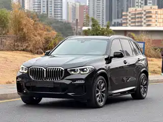 BMW X5 (Import) 2021