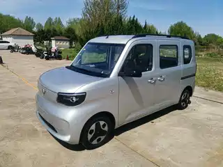 Wuling Motors Zhiguang NEV 2025