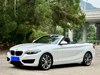 BMW 2 Series (Import) 2019