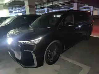 Voyah Auto Dreamer 2024