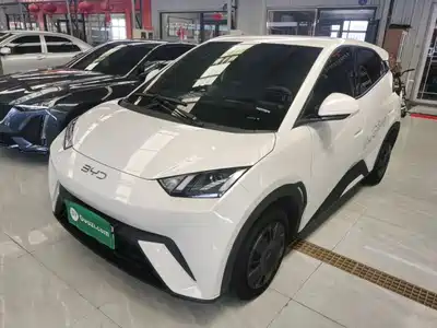 BYD Seagull 2025