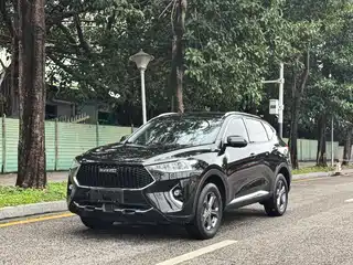 Haval F7 2019
