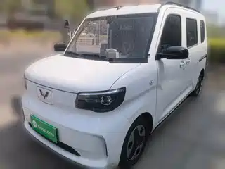 Wuling Motors Zhiguang NEV 2025
