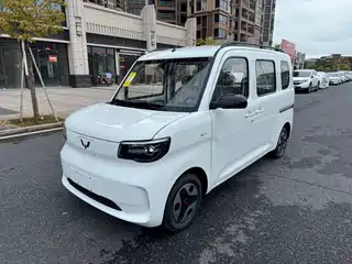 Wuling Motors Zhiguang NEV 2025