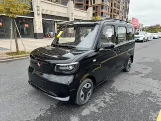 Wuling Motors Zhiguang NEV 2025