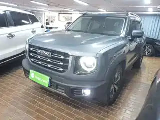 Haval Big Dog 2021