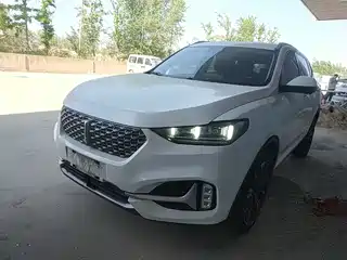 WEY VV6 2021
