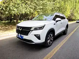 Wuling Motors Wuling Xingchen 2022