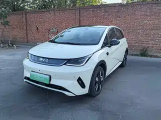 BYD Dolphin 2025