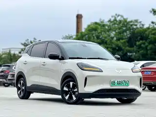 Wuling Motors Wuling Binguo PLUS 2024