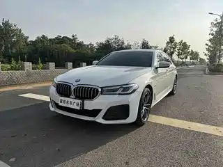 BMW 5 Series New Energy 2020